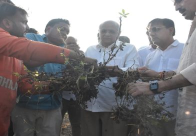 CM ભૂપેન્દ્ર પટેલે માવઠાગ્રસ્ત વિસ્તારની મુલાકાત લઈ કહ્યું- રાહત પેકેજ જાહેર કરીને ખેડૂતને નુકસાનીમાંથી ઝડપભેર બેઠા કરાશે