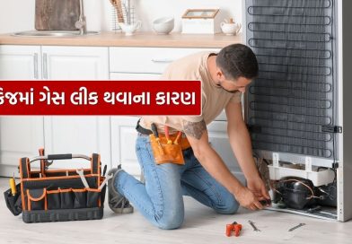 Fridge Cooling Problem : ફ્રિજમાં ગેસ લીક ​​કેમ થાય છે? આ કારણે તમારા ખિસ્સા પર વધશે બોજ.. 