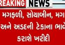 ગુજરાત સરકાર 9 નવેમ્બરથી ટેકાના ભાવે મગફળી, સોયાબીન, મગ, અડદ ખરીદશે