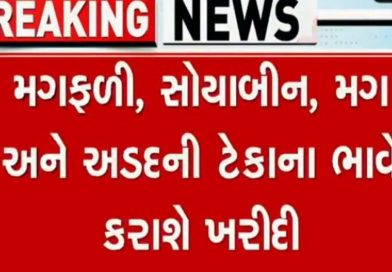 ગુજરાત સરકાર 9 નવેમ્બરથી ટેકાના ભાવે મગફળી, સોયાબીન, મગ, અડદ ખરીદશે