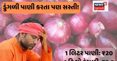 એક પાણીની બોટલની કિંમતમાં 8 કિલો ડુંગળી! ખેડૂતો કરે તો શું?