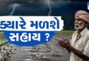 વિજાપુરમાં કમોસમી વરસાદે ખેડૂતોની આખા વર્ષની મહેનત પર પાણી ફેરવ્યું, પાક નુકસાનીનું વળતર ચુકવવાની માગ, જુઓ Video