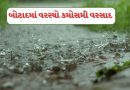 Botad : રાણપુર શહેર અને તાલુકામાં ધોધમાર વરસાદ ખાબક્યો, રસ્તા અને ખેતરોમાં ભરાયા પાણી, જુઓ Video