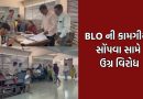રાજકોટમાં શિક્ષકોને BLOની જવાબદારી સોંપાતા વિરોધ બન્યો ઉગ્ર, પ્રાથમિક શૈક્ષિક મહાસંઘે CMને લખ્યો પત્ર