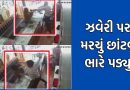 મરચુ છાંટવાનો કિમીયો કામ ન આવ્યો, સોનીની દુકાનમાં લૂંટ માટે આવેલી મહિલાને વેપારીએ ભણાવ્યો બરાબરનો પાઠ- જુઓ Video