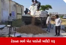 Rajkot: ગુજરાતમાં ટેકાના ભાવે ખેત પેદાશોની ખરીદી શરૂ, ખેડૂતોમાં આનંદની લાગણી