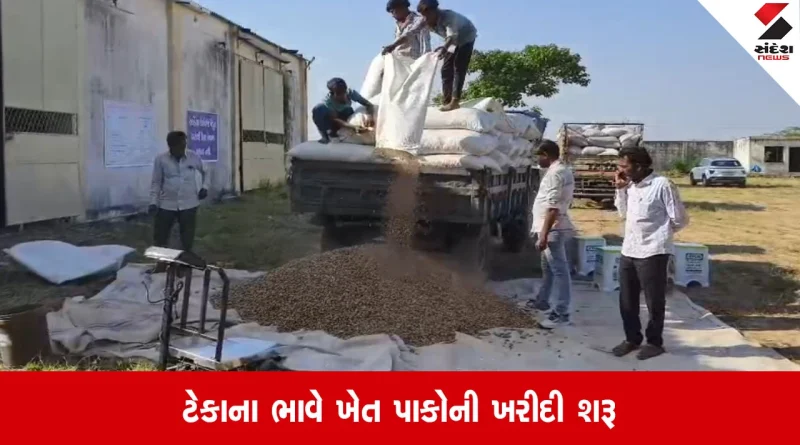 Rajkot: ગુજરાતમાં ટેકાના ભાવે ખેત પેદાશોની ખરીદી શરૂ, ખેડૂતોમાં આનંદની લાગણી