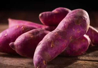 Benefits of Sweet Potato: શિયાળાના સુપરફૂડ શક્કરિયા ખાવાના ફાયદા, જાણો