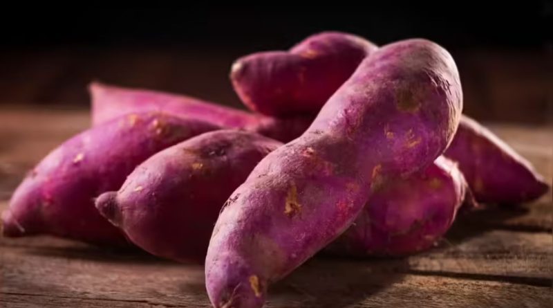 Benefits of Sweet Potato: શિયાળાના સુપરફૂડ શક્કરિયા ખાવાના ફાયદા, જાણો