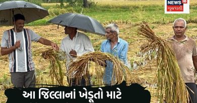 ખુશખબર: ગુજરાતના આ જિલ્લાના ખેડૂતોને મળશે 0 ટકા વ્યાજે પાક ધિરાણ
