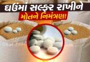 આ ભૂલ ભારે પડી, ઘઉંમાં રાખેલી સલ્ફરની ગોળીઓ એ બે જીવ લીધા !