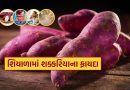 શિયાળામાં દરરોજ શક્કરિયા ખાવાના ચોંકાવનારા ફાયદા તમે નહીં જાણતા હોવ..