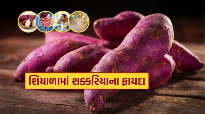 શિયાળામાં દરરોજ શક્કરિયા ખાવાના ચોંકાવનારા ફાયદા તમે નહીં જાણતા હોવ..