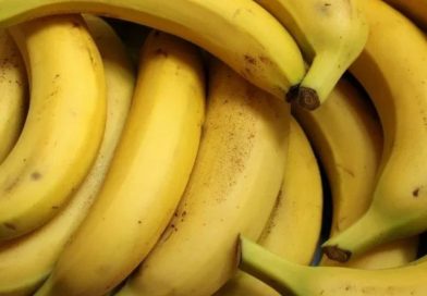 પાકેલા કે કાચા કેળા? વજન ઘટાડવા માટે કયા વધુ ફાયદાકારક છે, જાણો