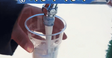 અજબ-ગજબ: તળાવ પર લાગી દૂધ પીનારાઓની લાઇન:પ્લાસ્ટિકના કચરાથઈ પણ બનશે ફ્યૂલ, પેટ્રોલ પણ સસ્તું થશે; જુઓ 5 રસપ્રદ ન્યૂઝ