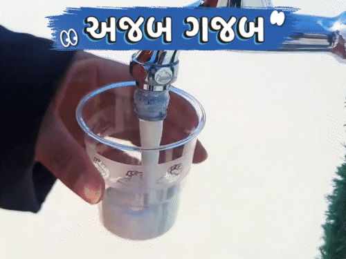 અજબ-ગજબ: તળાવ પર લાગી દૂધ પીનારાઓની લાઇન:પ્લાસ્ટિકના કચરાથઈ પણ બનશે ફ્યૂલ, પેટ્રોલ પણ સસ્તું થશે; જુઓ 5 રસપ્રદ ન્યૂઝ