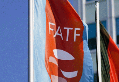 FATF રિપોર્ટમાં મની લોન્ડરિંગ કેસોમાં EDની કાર્યવાહીની પ્રશંસા:ભારતીય તપાસ એજન્સીઓના કાર્યને વૈશ્વિક મોડેલ ગણાવ્યો; ₹17,520 કરોડના પોન્ઝી કૌભાંડનો ઉલ્લેખ