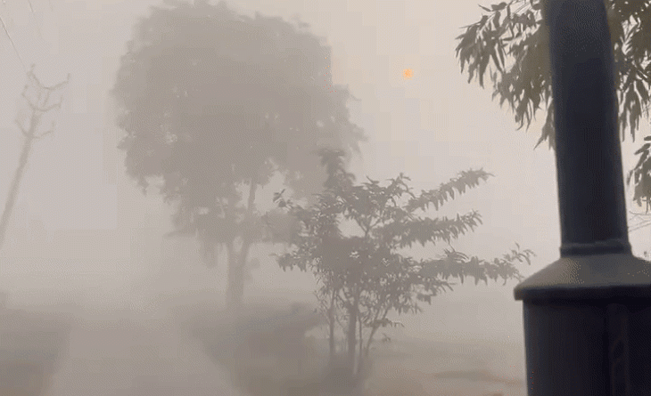 કડકડતી ઠંડીમાં વિલંબ થઈ શકે છે:નવેમ્બરમાં વરસાદની આગાહી; રાત ગરમ રહેશે, દિવસનું તાપમાન સામાન્ય કરતાં ઓછું રહેશે