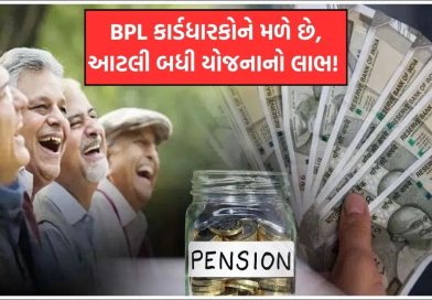 BPL કાર્ડધારકો માટે સરકારે શરૂ કરી 5 પેન્શન યોજનાઓ; વૃદ્ધો, વિધવાઓ અને અપંગોને માસિક પેન્શન મળશે!