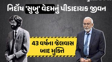 43 વર્ષ અમેરિકાની જેલમાં રહ્યો નિર્દોષ ભારતીય, ડિપોર્ટેશનના આદેશ બાદ  હવે કોર્ટનું હૃદય પીગળ્યું