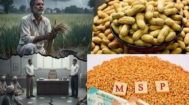 ટેકાના ભાવે મગફળી સહિતના પાકો ખરીદવાની સરકારની જાહેરાત, જાણો કઈ તારીખે શરુ થશે