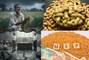 ટેકાના ભાવે મગફળી સહિતના પાકો ખરીદવાની સરકારની જાહેરાત, જાણો કઈ તારીખે શરુ થશે