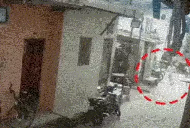 રખડતાં શ્વાનનું ટોળું પાછળ દોડતાં યુવક ભાગ્યો, રસ્તા પર પટકાતા થયું બ્રેઈન હેમરેજ, 12 દિવસની સારવાર બાદ મોત