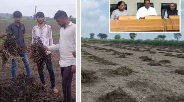 સહાય પેકેજ: પાક નુકસાન સામે ખેડૂતોને પ્રતિ હેક્ટર રૂ.22,000 મળશે, જાણો વધુમાં વધુ કેટલું વળતર મળશે