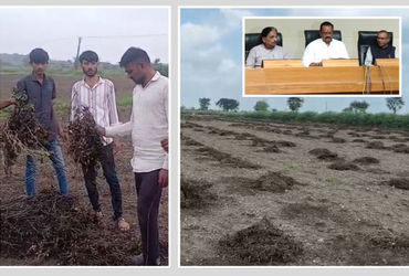 સહાય પેકેજ: પાક નુકસાન સામે ખેડૂતોને પ્રતિ હેક્ટર રૂ.22,000 મળશે, જાણો વધુમાં વધુ કેટલું વળતર મળશે