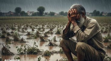 10 હજાર કરોડનું ઐતિહાસિક પેકેજ તો પડીકું નીકળ્યું, ખેડૂતોને વીઘે માત્ર 3500 રૂ. મળશે