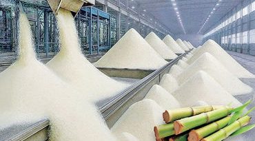 બંપર ઉત્પાદન વચ્ચે નિકાસ છૂટ અપાતા ખાંડ ઉદ્યોગને મોટી રાહત