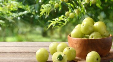 આમળા ખાવાના 5 ફાયદા: હાર્ટથી લઈને ત્વચા અને વાળ માટે છે ઉપયોગી