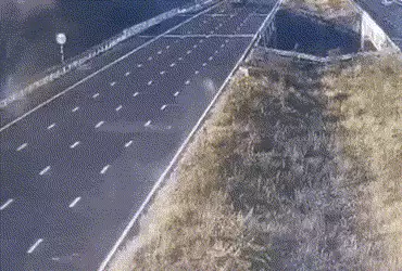 VIDEO: પૂરપાટ ઝડપે જતી કાર ખીણમાં ખાબકી, વડોદરા પરત ફરી રહેલા 5 લોકોના મોત