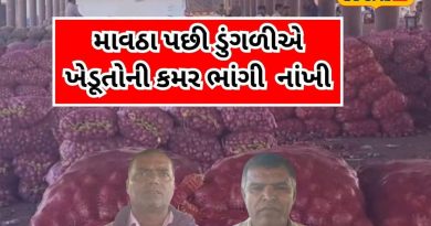 ‘ડુંગળી ખેતરમાં સડી જાય તો સારું’.. આવું ખેડૂતોએ શું કામ કહ્યું? જાણો