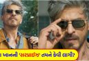 Shah Rukh Khan: ડર નહીં, હું તો દહેશત છું…બાદશાહે ‘બર્થ ડે’ના દિવસે જ આખું બોલિવુડ ગજાવ્યું, તેની એક સરપ્રાઈઝથી તૂટશે અનેક રેકોર્ડ
