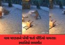 Fact Check : માણસને ખેંચી જતા વાઘનો વીડિયો વાયરલ; સ્થાનિકો ભયભીત, આ ઘટનાની સત્યતા જાણો
