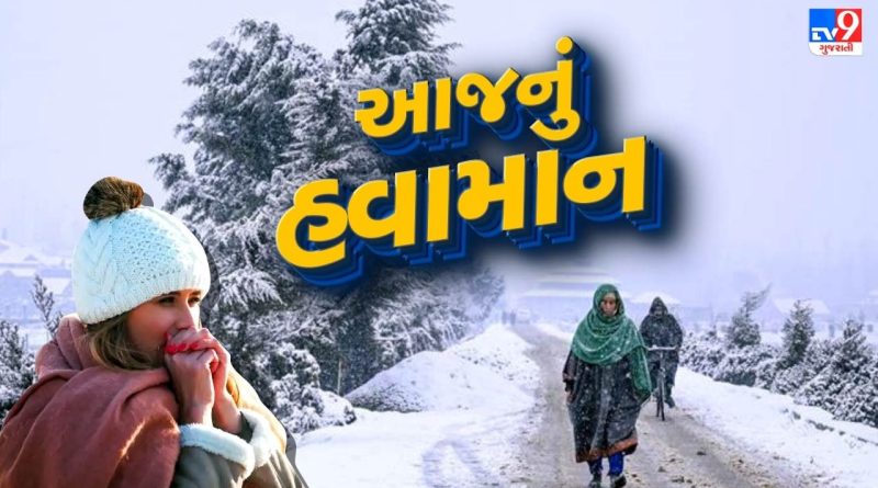 આજનું હવામાન : ગુજરાતવાસીઓ સ્વેટર કાઢીને તૈયાર રાખજો,અનેક વિસ્તારોમાં હાડ થીજવતી ઠંડીની આગાહી, જુઓ Video