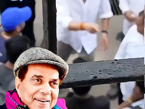 ‘શું તમે લોકોએ શરમ વેચી ખાધી છે’:ફરીથી પાપારાઝી પર ભડક્યો સની દેઓલ!; કેમેરા પકડીને પૂછ્યું- કેટલા પૈસા જોઈએ?; ધર્મેન્દ્રના અસ્થિ વિસર્જન દરમિયાનની ઘટના હોવાનો દાવો ‘શું તમે લોકોએ શરમ વેચી ખાધી છે’:ફરીથી પાપારાઝી પર ભડક્યો સની દેઓલ!; કેમેરા પકડીને પૂછ્યું- કેટલા પૈસા જોઈએ?; ધર્મેન્દ્રના અસ્થિ વિસર્જન દરમિયાનની ઘટના હોવાનો દાવો