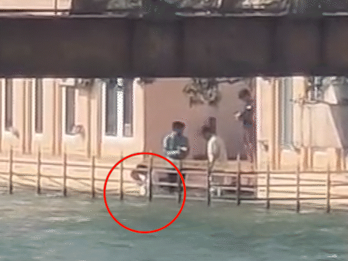 ધર્મેન્દ્રના અસ્થિ હરિદ્વારમાં વિસર્જિત:સનીના પુત્ર કરણના હસ્તે દાદાના અસ્થિ ગંગામાં પ્રવાહિત કરવામાં આવ્યા; આખો દેઓલ પરિવાર હાજર રહ્યો ધર્મેન્દ્રના અસ્થિ હરિદ્વારમાં વિસર્જિત:સનીના પુત્ર કરણના હસ્તે દાદાના અસ્થિ ગંગામાં પ્રવાહિત કરવામાં આવ્યા; આખો દેઓલ પરિવાર હાજર રહ્યો