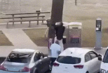 VIDEO: શૂટરને પાછળથી પકડીને બંદૂક છીનવી… ઓસ્ટ્રેલિયાના બહાદુર નાગરિકની વિશ્વભરમાં ચર્ચા