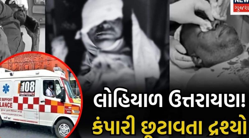 ગુજરાતમાં રક્તરંજીત સંક્રાંતિ! ઇમરજન્સી કેસનો આંકડો 5000ને પાર; પશુ-પક્ષીઓને ઈજાના કેસ અલગ