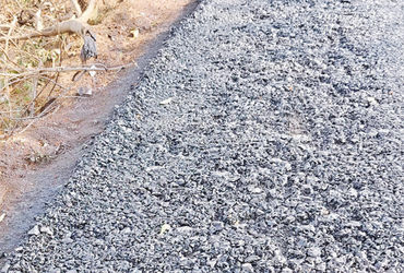 દોલત પોરડાથી તાજેરી સુધીનો ડામર રસ્તો હલકી ગુણવત્તાનો બનતા સ્થાનિકોમાં રોષ