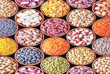 સાનુકૂળ સ્ટોકને ધ્યાનમાં રાખતા વર્તમાન નાણાં વર્ષમાં કઠોળની આયાત નીચી રહેશે