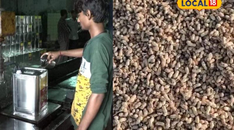 Groundnut Oil: લગ્ન સિઝનમાં મોટો ઝટકો! સિંગતેલના ભાવ પહોંચ્યા આસમાને, એક મહિનામાં કેટલો થયો વધારો?