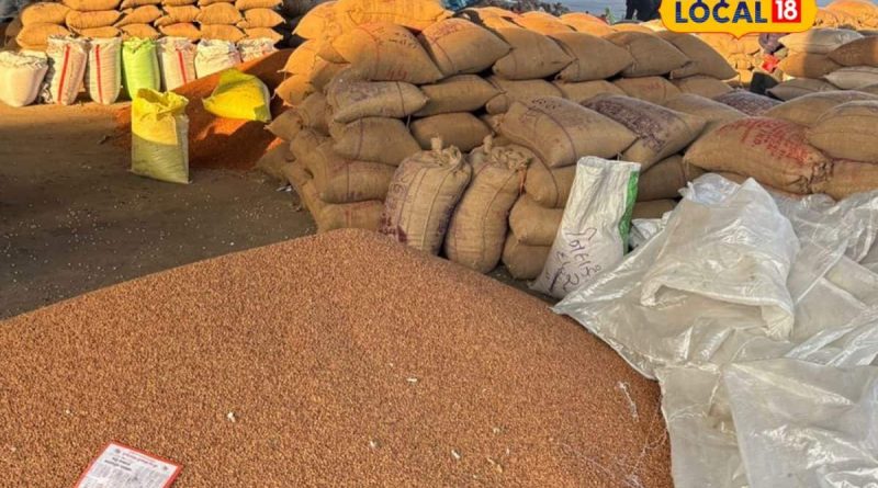 રાજકોટ માર્કેટિંગ યાર્ડમાં મગફળીના ઢગલા, 1.25 લાખ મણ આવક થઈ