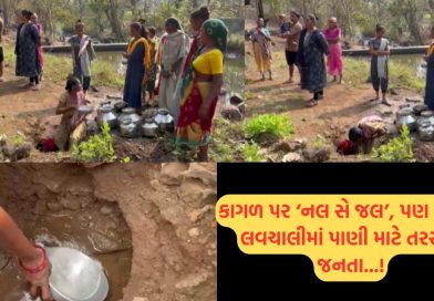 ગુજરાતનું ચેરાપૂંજી તરસ્યું! ડાંગના લવચાલી ગામમાં ઉનાળા પહેલા જ પાણી માટે પોકાર, મહિલાઓ જીવના જોખમે 1 કિમી દૂર જવા મજબૂર ગુજરાતનું ચેરાપૂંજી તરસ્યું! ડાંગના લવચાલી ગામમાં ઉનાળા પહેલા જ પાણી માટે પોકાર, મહિલાઓ જીવના જોખમે 1 કિમી દૂર જવા મજબૂર