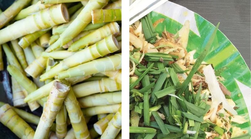 Gut Health: ગુજરાતી ખોરાક પ્રેમીઓ માટે પેટને તંદુરસ્ત રાખનારા છે 5 ફર્મેન્ટેડ ફૂડ, જાણો તેના વિશે