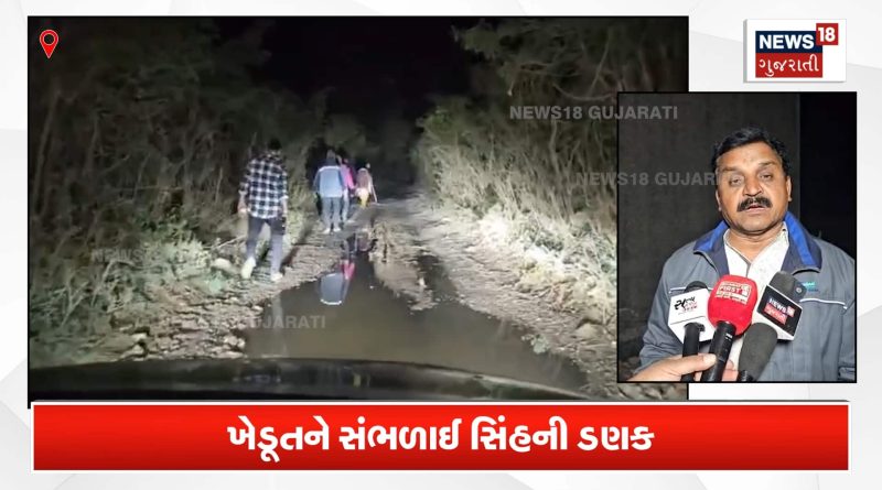 સૂતળી બોમ્બ ફોડ્યો અને સિંહની ત્રાડ સંભળાઈ, ખેડૂત ભાગ્યો!