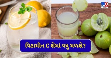 Health News : આમળાનો રસ….કે લીંબુ પાણી, વિટામીન C શેમાં વધુ હોય? રોગપ્રતિકારક શક્તિ વધારવા શું લેવુ જોઇએ?