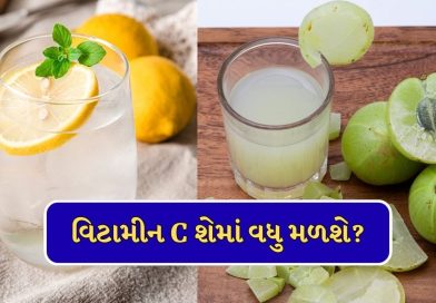 Health News : આમળાનો રસ….કે લીંબુ પાણી, વિટામીન C શેમાં વધુ હોય? રોગપ્રતિકારક શક્તિ વધારવા શું લેવુ જોઇએ?